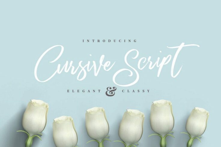 View Information about Cursive Brush Script Font