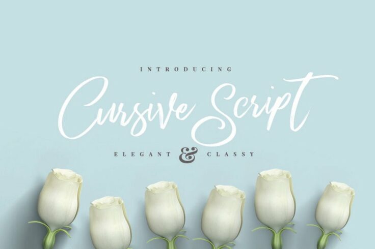 View Information about Elegant Cursive Brush Script Font