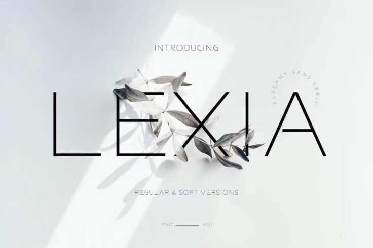 View Information about Lexia Branding Font