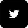 Twitter iOS Icon